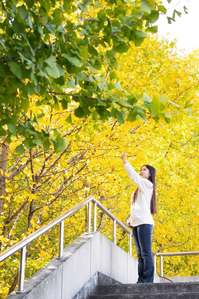 限时绝美！年度顶流！