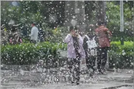 揭秘｜漫天“毛毛”惹人恼，其实它也“背黑锅”好多年图片