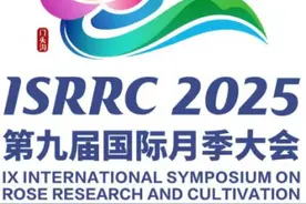 40年来首次落地中国！第九届国际月季大会明年5月举办图片