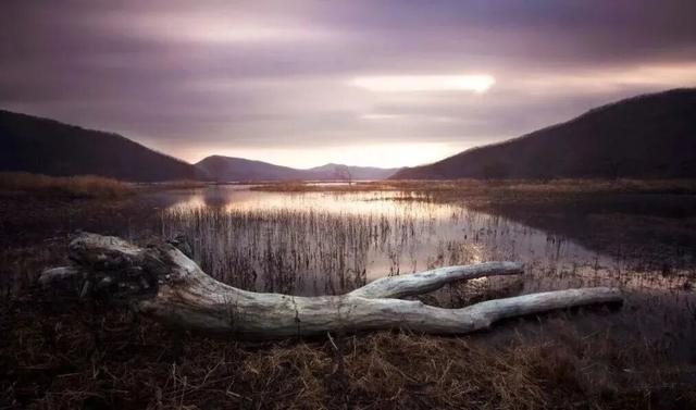 不来珲春，怎知秋色如许？（惊艳美图来袭）