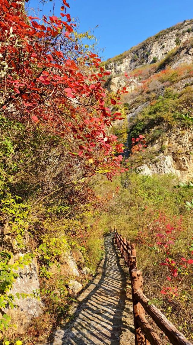 9.9元！深秋里寻一处静谧！本周六出发，打卡长清王泉摩崖石窟、义静寺！