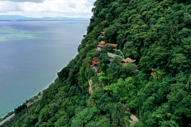 “每一棵树都绿意盎然” ！诺奖得主丹·谢赫特曼盛赞昆明生态建设与城市发展