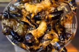 云南限定！一咖啡店推出“油炸老土蜂拿铁”，网友：越来越抽象了图片