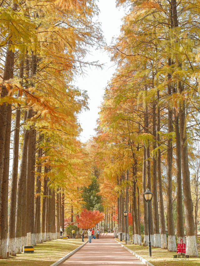 寒潮倒计时！再不来就迟了