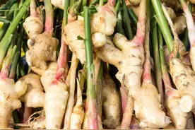 产业兴农｜湖南岳阳白水镇：“小黄姜”渐成“大产业”图片