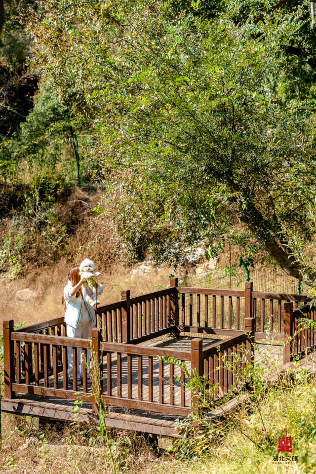 抓住晴天尾巴，徒步青龙山！