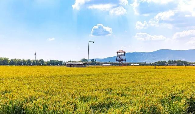 现在的宜兴，已经美成这样了……