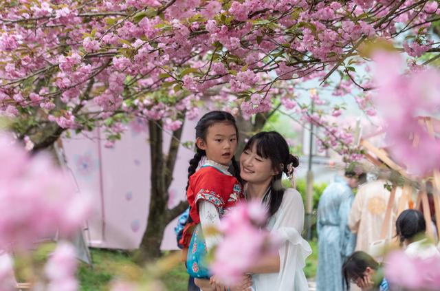 春日里的中国｜漫山樱花如云霞 山乡美景助共富