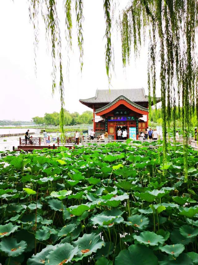 大明湖