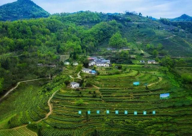 约好国庆游陕西丨陕南山水藏秋意 果香四溢等您来
