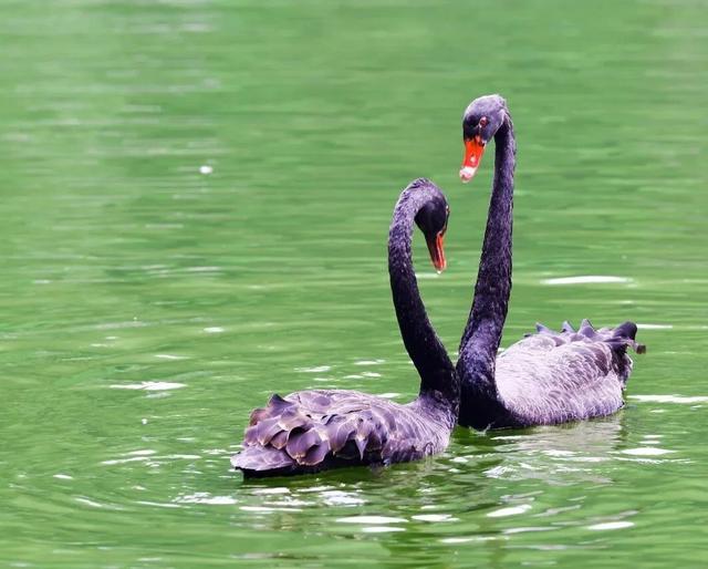 秋日美学暴击！正是赤橙黄绿时~