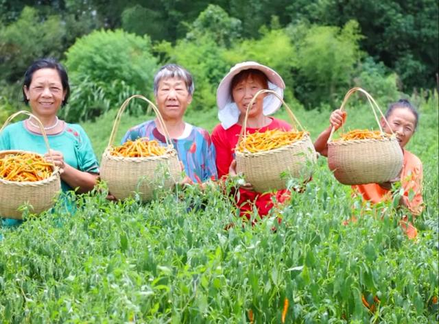 湖南文旅点名！渌口这7处 “宝藏目的地” ，赶紧去！