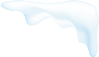 嘉兴新年第一波蜡梅绽放！