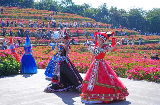 冬来赏花正当时