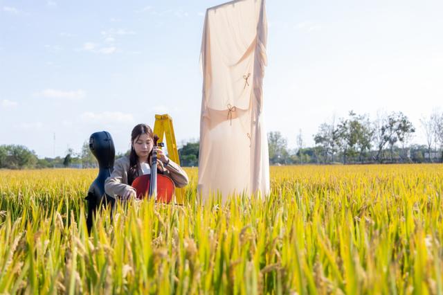 美哭！扬州稻田绝美秋景别错过～