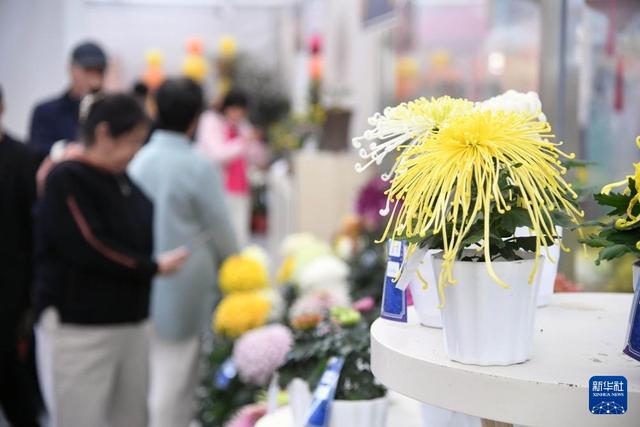 北京：秋日出游正当时