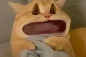 夫妻拌嘴误事！“上头”后果……图片