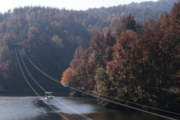武汉一景区秋叶已进入最佳观赏期：可持续近两个月，共5千多亩枫树和3万多株银杏