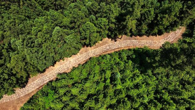 探寻四川“四普”新发现！三地联动直播将于11月18日开启