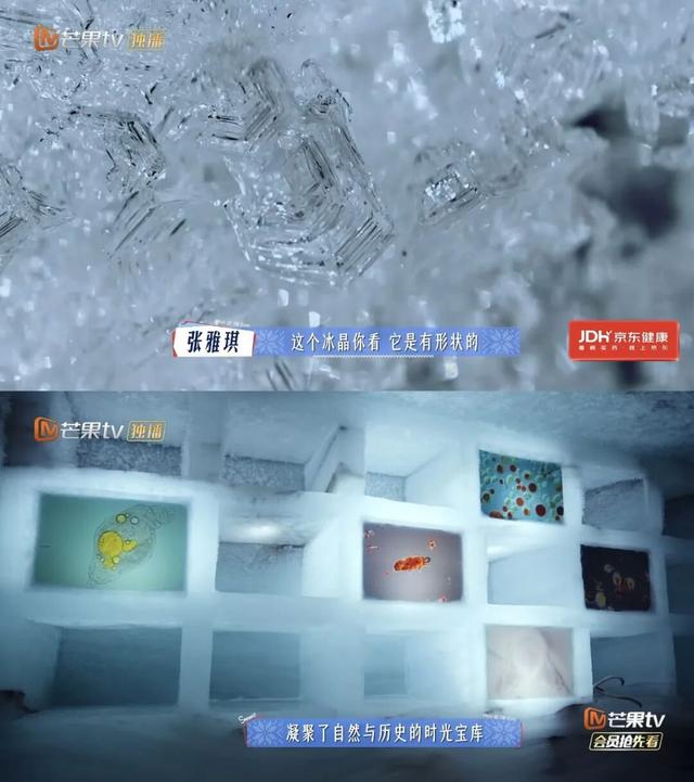 全网最快！请收下这份《花少7》同款挪威攻略