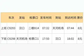 汉口站⇋天河机场，12分钟图片