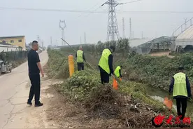 潍坊青州：黄楼街道采取“四强化”举措 扎实开展河湖“清四乱”专项整治行动图片