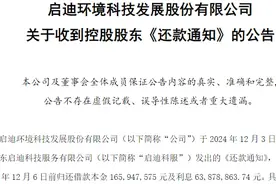 控股股东急催还钱、股份被拍卖，公司将易主！启迪环境回应图片