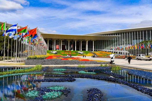 德勤进博首发这份人工智能报告，释放生成式人工智能在消费品及零售行业的价值