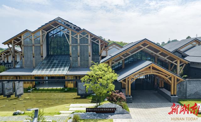 共赴秋光里的文化奇遇! 《村里有个馆》 11月3日重磅来袭