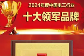 “2024中国家居电气行业优秀品牌评选”揭晓 罗格朗实力斩获大奖图片