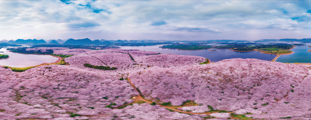 从“畅游”到“爽居”：这场旅居推介，藏着贵州最动人的生活提案