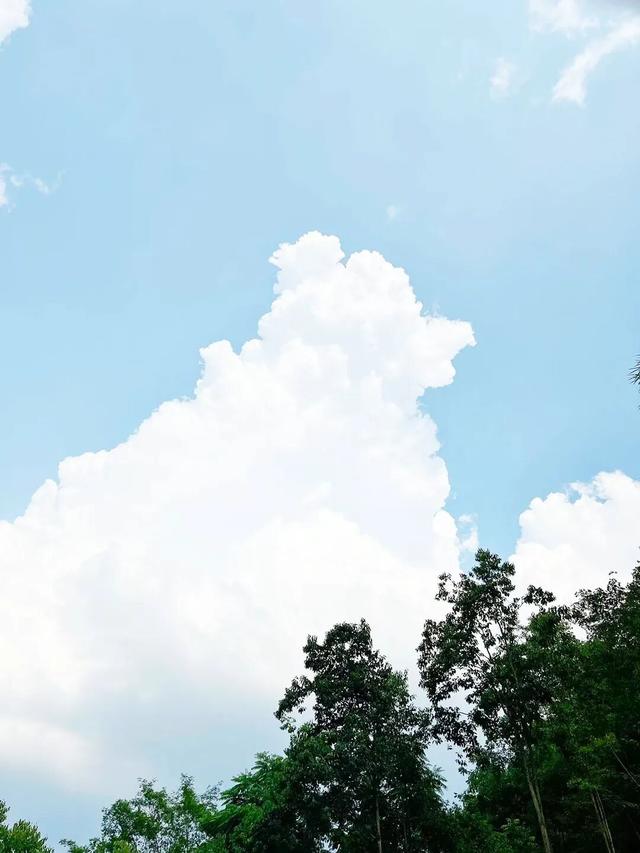 高市早苗道歉	，此前受到控告；香港火灾遇难人数增至160人 | 三工晨报