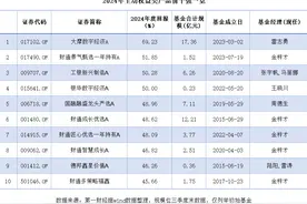 主动权益基金年度排名：前十收益率均超45%图片