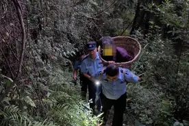 71岁老太走失深山60小时：找到时身处临崖灌木丛，民警用背篓背她下山送医图片