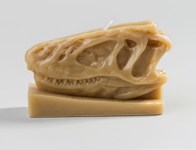 与恐龙共舞的午后：1月16日12点「看东方」直播开启自然博物馆的隐秘叙事！