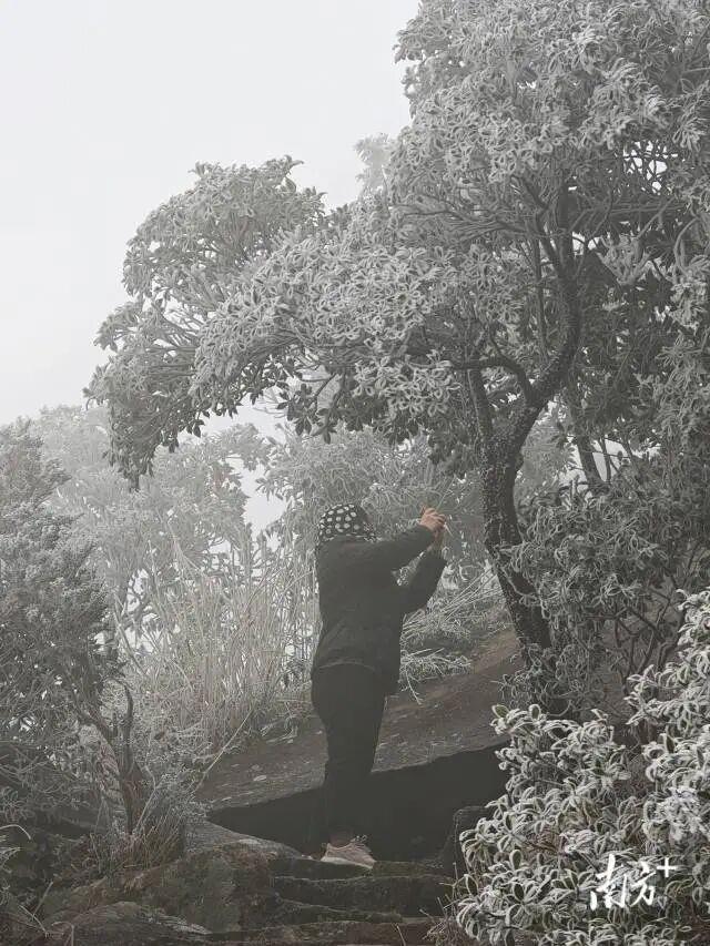 -5.8℃，广东下雪了！还要冷多久？升温+降雨马上到……祛寒靓汤，分享亲友→