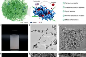 新型材料为宠物止血难题提供更优解决方案图片