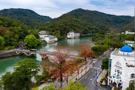 打响从化温泉全球知名度，专家学者共话温泉康养新发展图片
