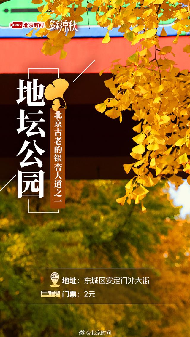 北京十大赏银杏好去处，这三处免费，您都去过吗？
