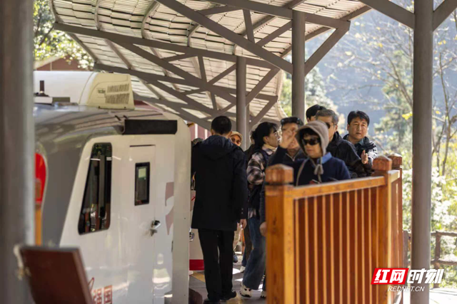 晴好秋光引客来，张家界十里画廊人气“一路飙升”