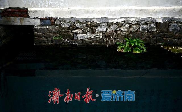 一年四季 泉在济南丨济南康泉“身世”镌刻古墙 千年名泉再续新篇
