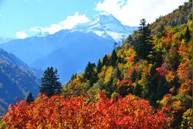 第二届三奥雪山登山大会10月25日至27日在四川黑水举行，攀登线路安排百人保障图片