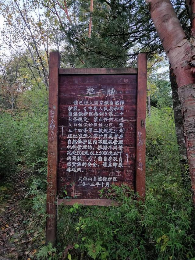 生死鳌太线：徒步禁区暗藏危险生意，有穿越服务开价4800