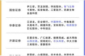 券商12月金股出炉：这些股获力挺，看好AI、医药等板块图片