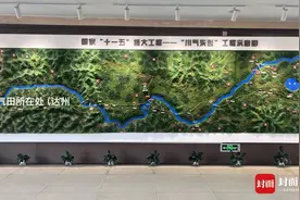 多项第一 “川气东送”第一站是如何炼成的？｜万千气象看四川图片