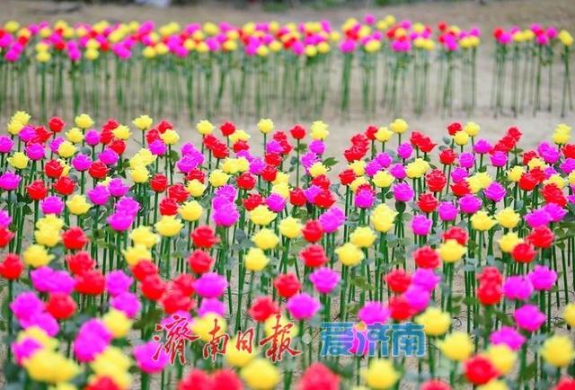 济南天下第一泉迎春花灯会进入安装阶段，园区渐展“奇幻”容颜