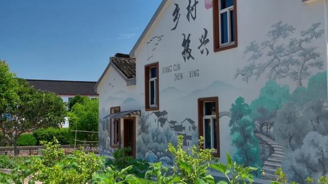 从“上海西伯利亚”到网红村，整村运营让青浦这个村脱胎换骨