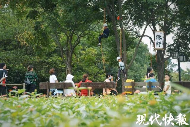 抓住假期“尾巴”，在浦口区不老村解锁度假的N种氛围
