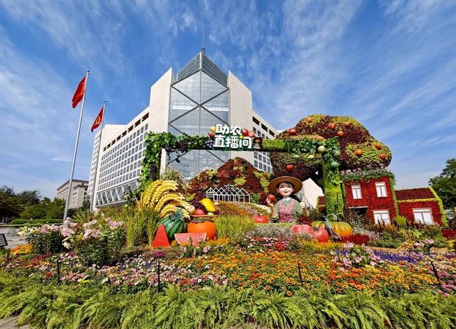 天安门广场国庆大花篮+长安街沿线花坛实拍图→