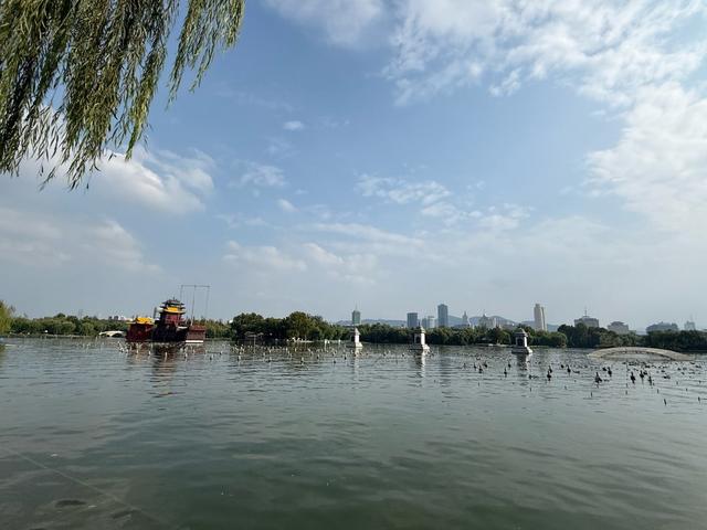 新视界｜济南大明湖：杨柳依依里，湖光山色新